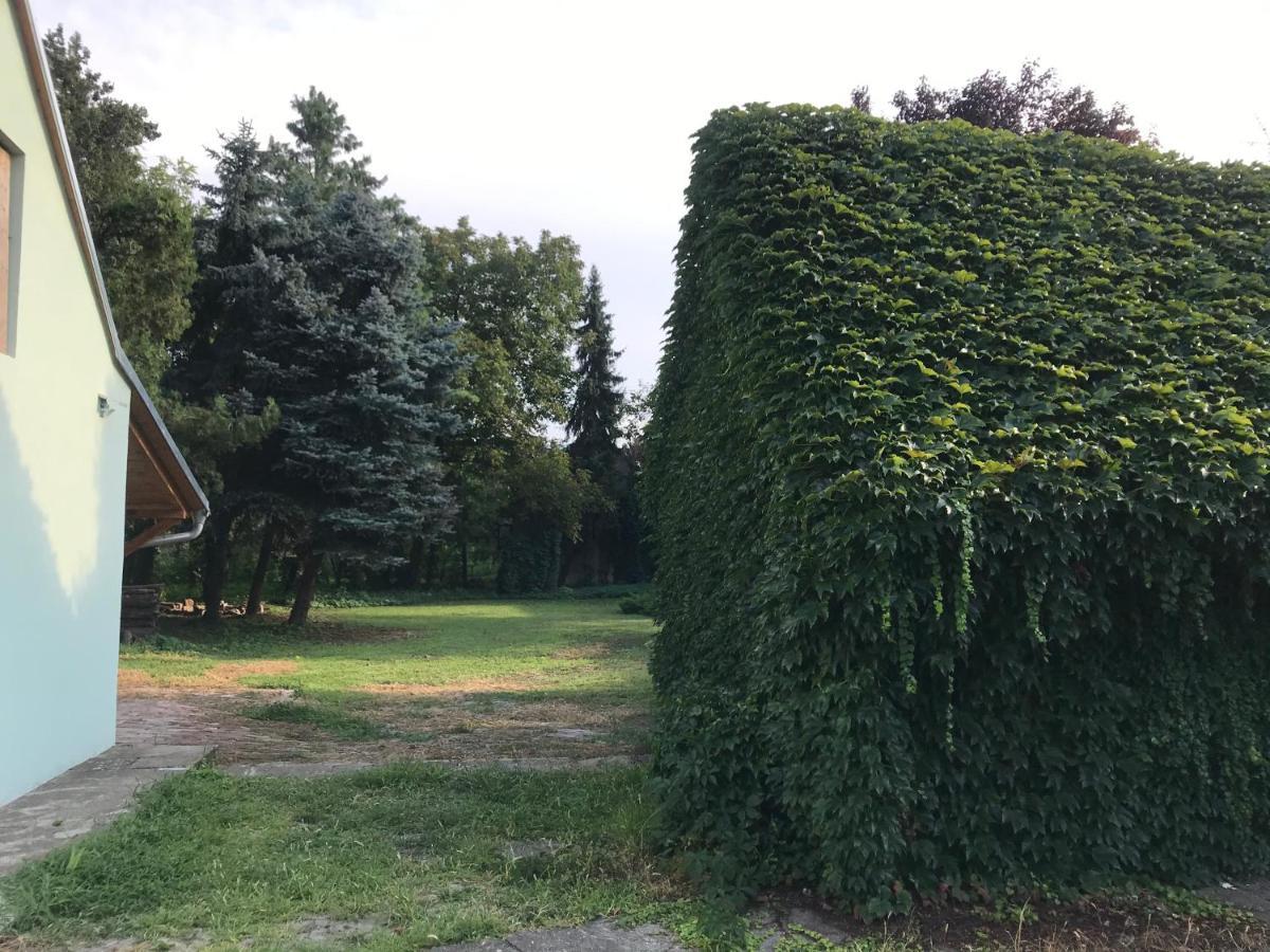 Pb Urban Garden Stay With Secured Parking スレムスカ・ミトロヴィツァ エクステリア 写真